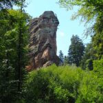 Der Pfälzerwald