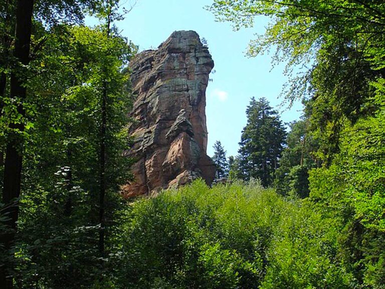Mehr über den Artikel erfahren Der Pfälzerwald