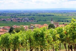 Mehr über den Artikel erfahren Sehenswürdigkeiten an der Weinstraße – Burgen, Schlösser und Weinorte