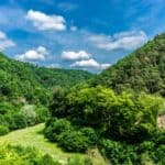 Wandern in und um Wierschem