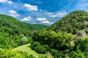 Mehr über den Artikel erfahren Wandern in und um Wierschem
