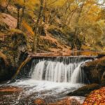 Baybachklamm in Rheinland Pfalz