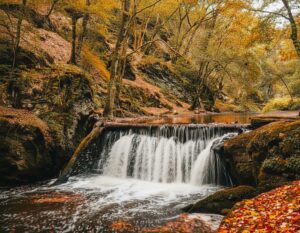 Mehr über den Artikel erfahren Baybachklamm in Rheinland Pfalz