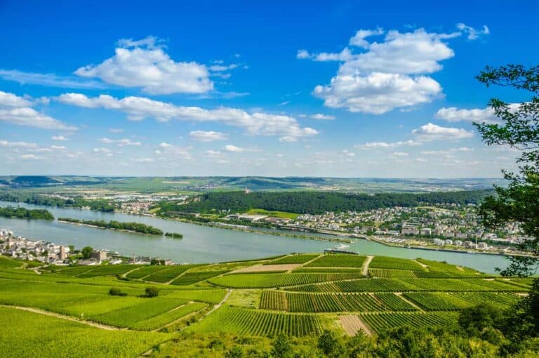 Mehr über den Artikel erfahren Bingen am Rhein – Tor zum Mittelrheintal