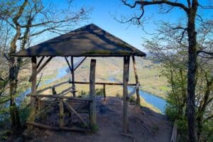 Mehr über den Artikel erfahren Wandersteig Mosel – Wandern zwischen Reben, Burgen und Flussschleifen