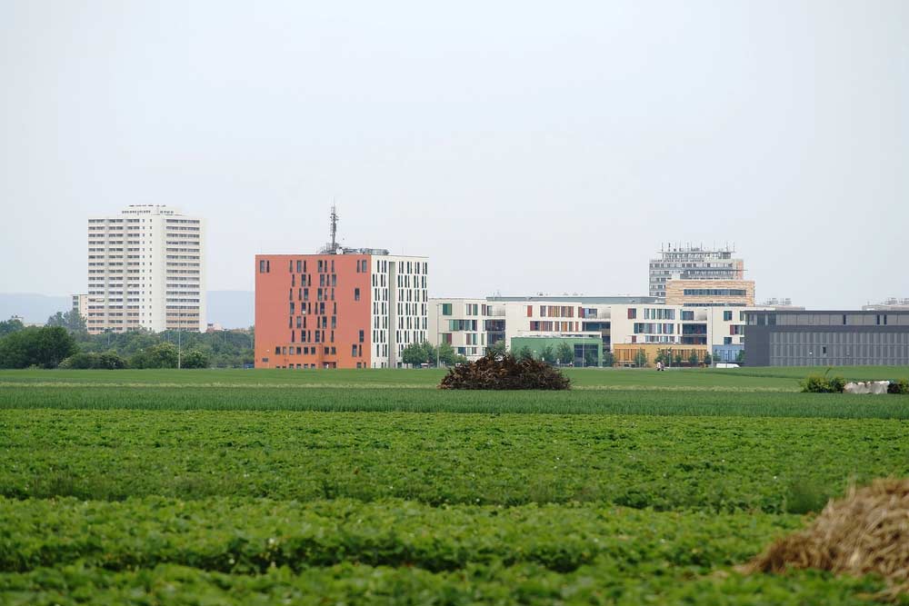 Uni Mainz Uni Mainz (depositphotos.com)