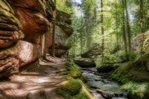 Mehr über den Artikel erfahren Wandern im Pfälzerwald: Die schönsten Wanderungen für Anfänger und Familien
